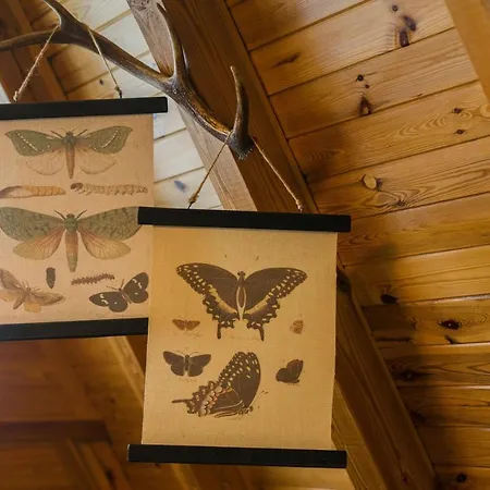 Poniwiec Mala Czantoria Chalet